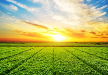 Fazendas à Venda no Amapá: por que investir numa fazenda à venda?