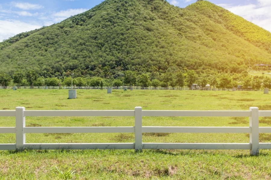 Por que vale a pena investir em Fazendas à Venda em Rondônia?