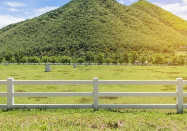 Por que vale a pena investir em Fazendas à Venda em Rondônia?