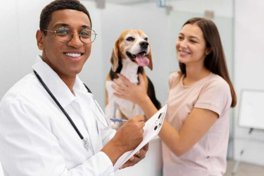 Clínica veterinária à venda: 5 dicas importantes para investir nesse segmento