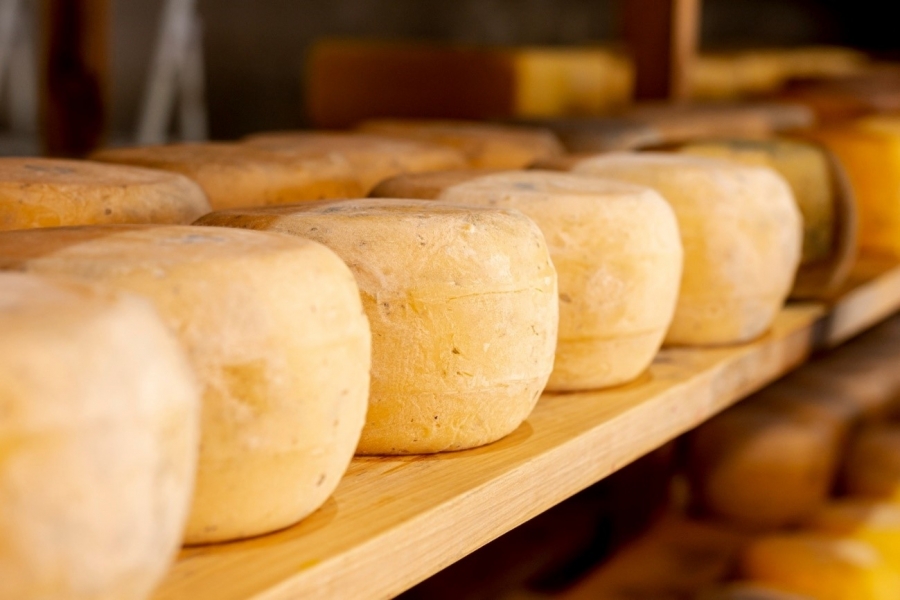 Vendo indústria de pães de queijo: 6 dicas para uma boa gestão