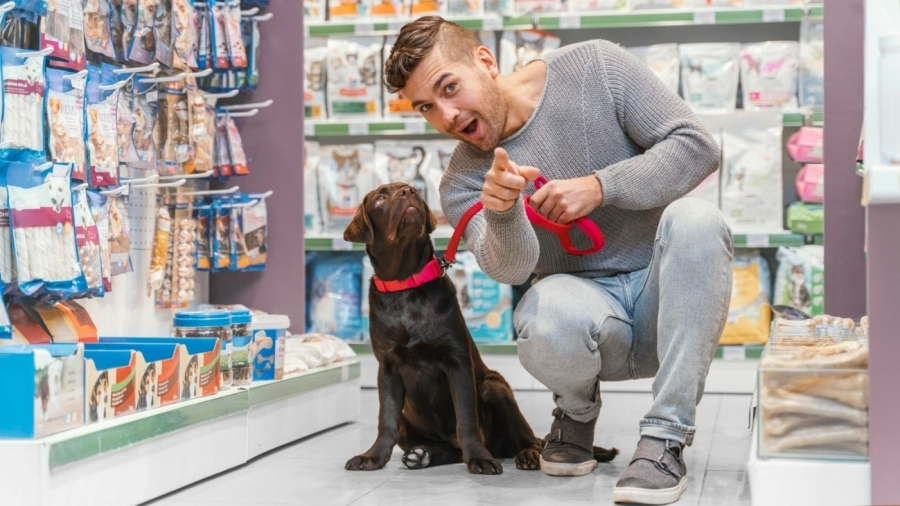 Entre Patas e Negócios: 5 Dicas para Comprar um Pet shop