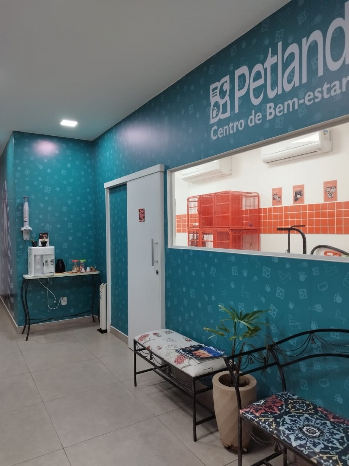 Pet Shop e Agropecuária 