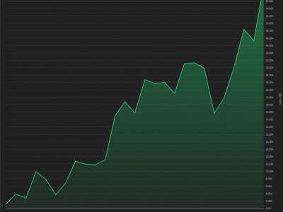 Oportunidade para Investidores e empreendedores, ALTA LUCRATIVIDADE !! ( Venda de até 74,44% )