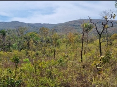 Fazenda com 175 alqueires (barata)