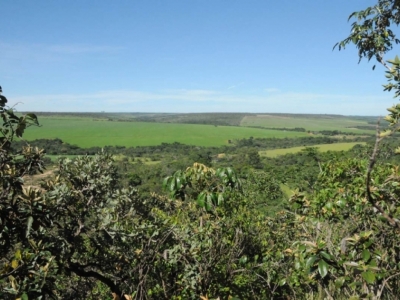 VENDO FAZENDA 2300 HÁ.