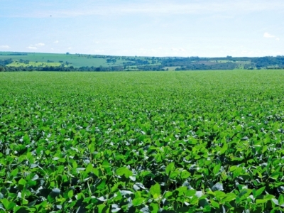 VENDO FAZENDA 8000 HA. 