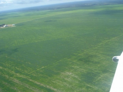 VENDO FAZENDA 4580 HA.  