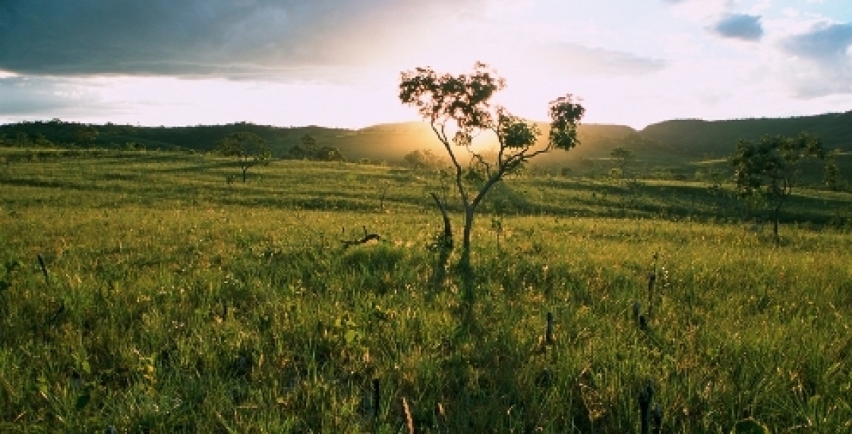 VENDO FAZENDA 22.700 HÁ. 