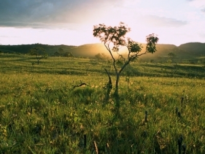 VENDO FAZENDA 22.700 HÁ. 