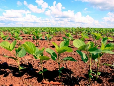 VENDO FAZENDA 5.000 HÁ. 