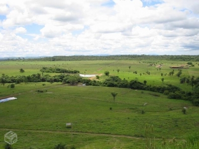 VENDO FAZENDA 8000 HA. 