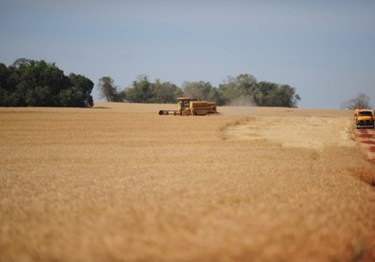 VENDO FAZENDA 21.200 HA. 