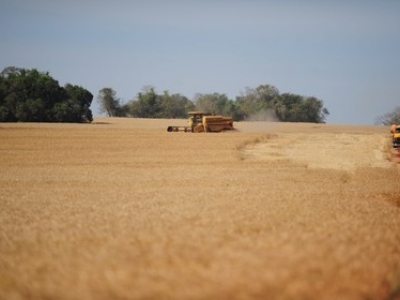 VENDO FAZENDA 21.200 HA. 