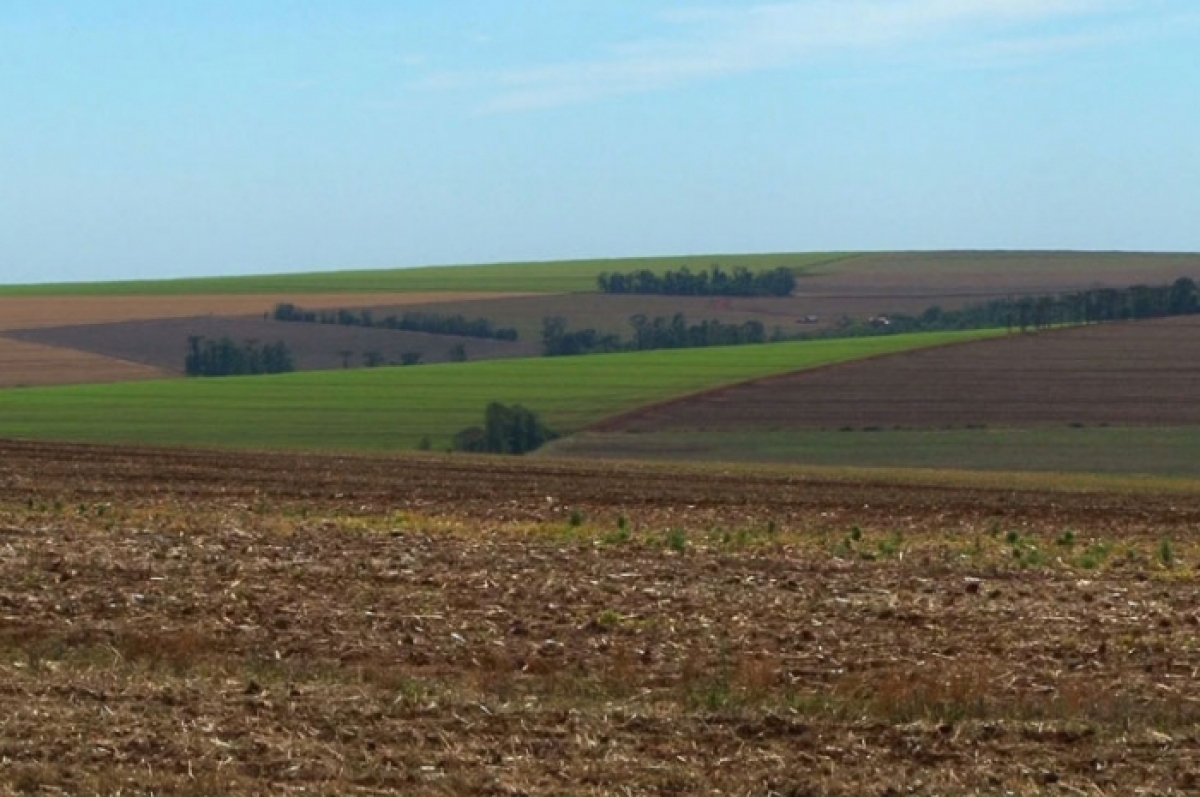 ARRENDO FAZENDA 1580 HÁ. 