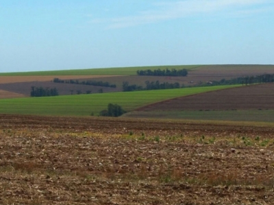 ARRENDO FAZENDA 1580 HÁ. 