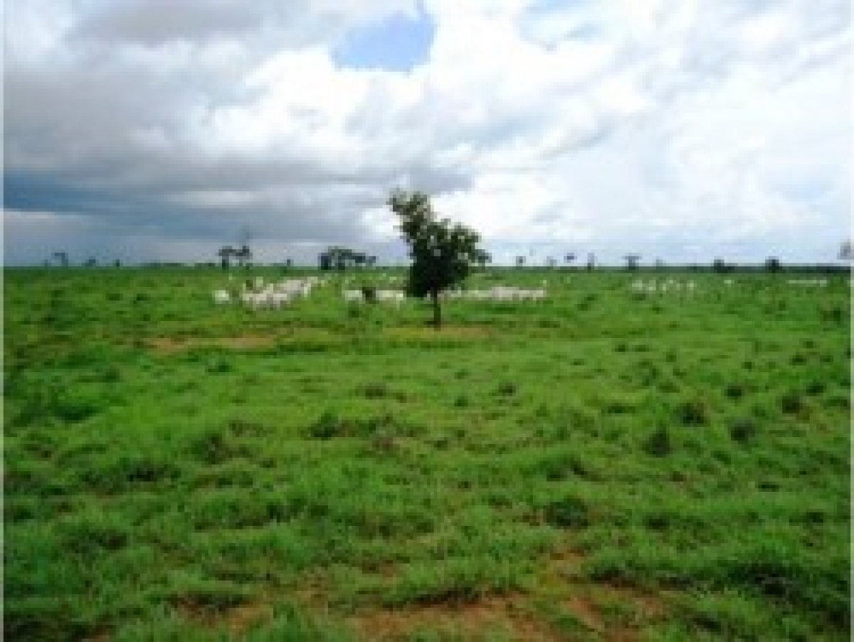 Vendo fazenda 5.000 HÁ / 2066 ALQ.