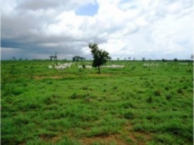 Vendo fazenda 5.000 HÁ / 2066 ALQ.