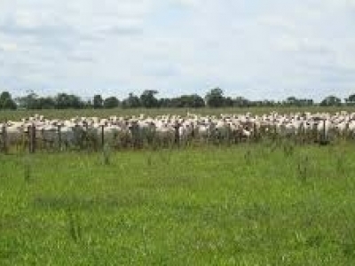 VENDO Fazenda Olho D' Água área total 4.145 hectares 