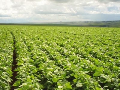 vendo fazenda Com área total de 6.260 ha