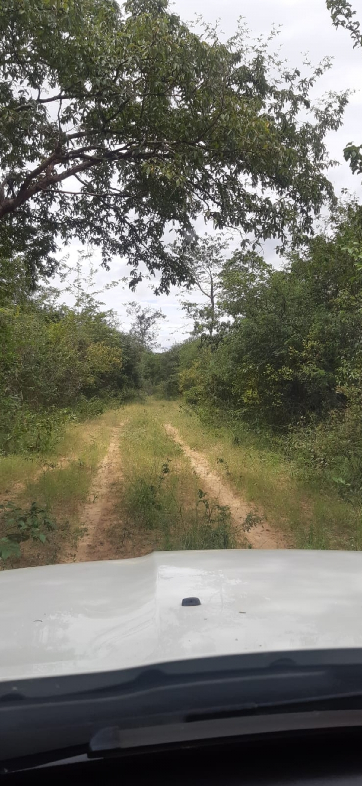 Fazenda à venda no norte do Piauí