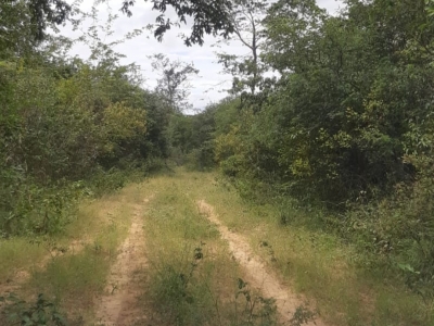 Fazenda à venda no norte do Piauí