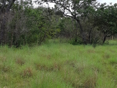 Fazenda à venda no norte do Piauí