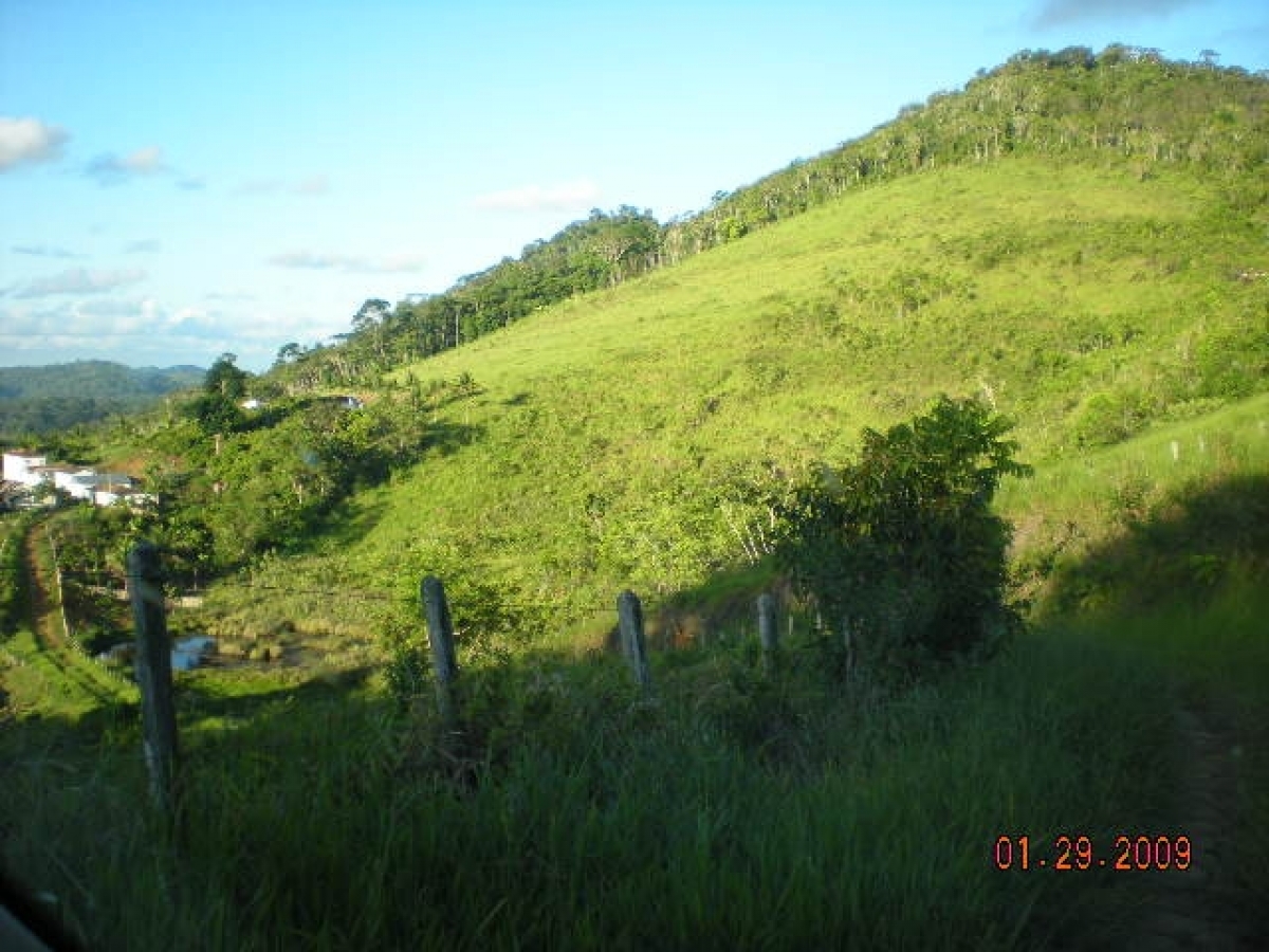 Vendo fazenda 278 HA. No Sul da Bahia. Cacau e Gado