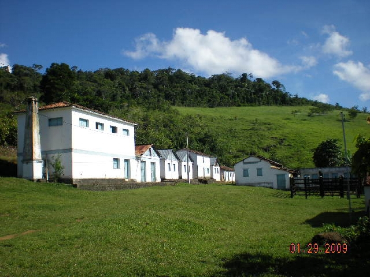 Vendo fazenda 278 HA. No Sul da Bahia. Cacau e Gado