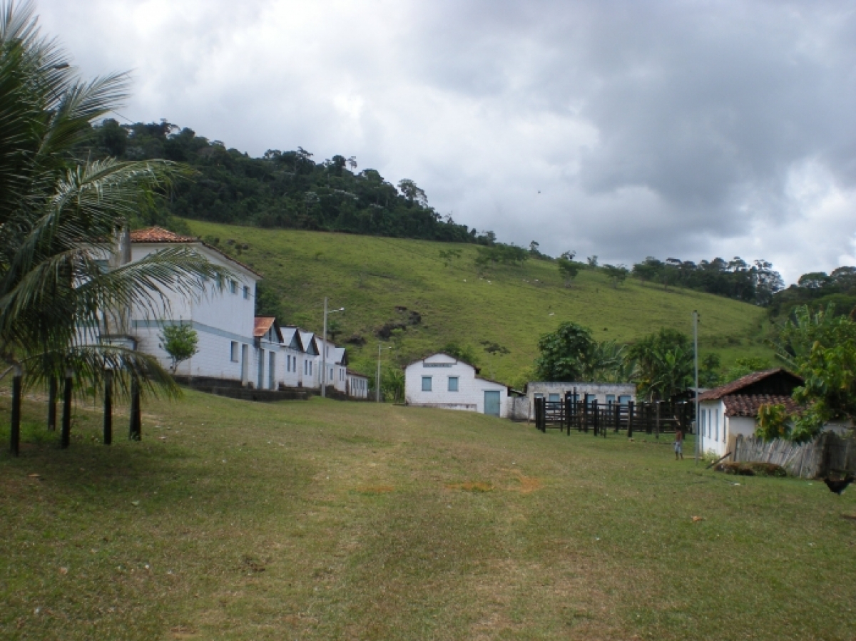 Vendo fazenda 278 HA. No Sul da Bahia. Cacau e Gado