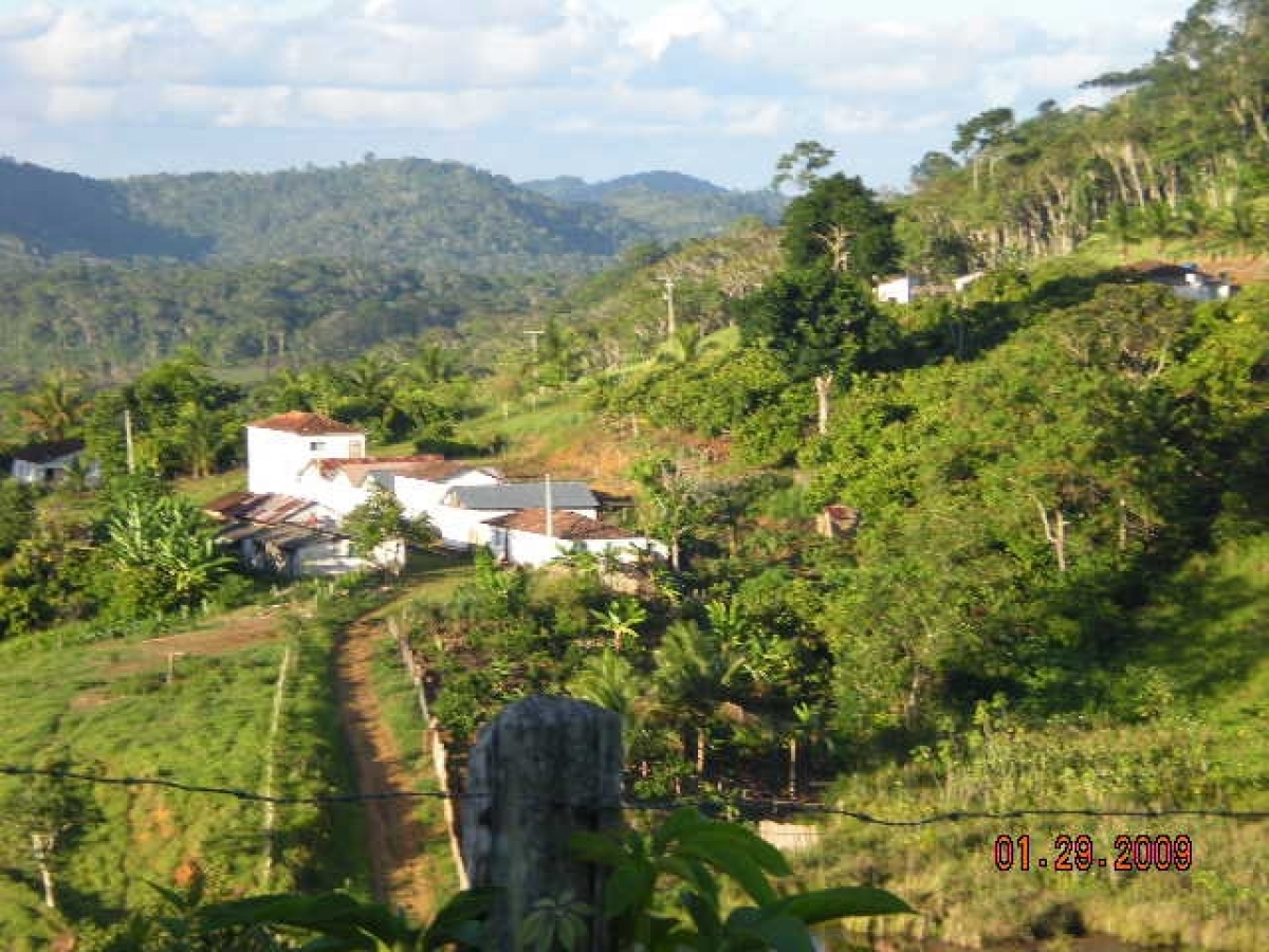 Vendo fazenda 278 HA. No Sul da Bahia. Cacau e Gado