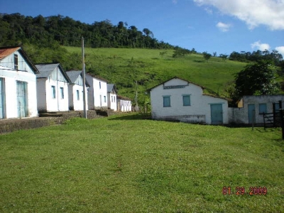 Vendo fazenda 278 HA. No Sul da Bahia. Cacau e Gado