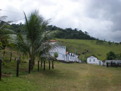 Vendo fazenda 278 HA. No Sul da Bahia. Cacau e Gado