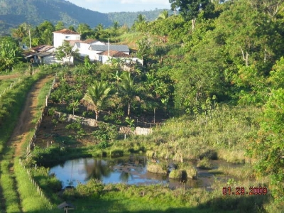 Vendo fazenda 278 HA. No Sul da Bahia. Cacau e Gado