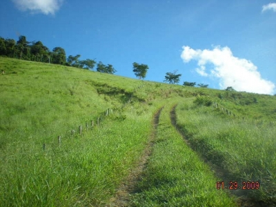 Vendo fazenda 278 HA. No Sul da Bahia. Cacau e Gado