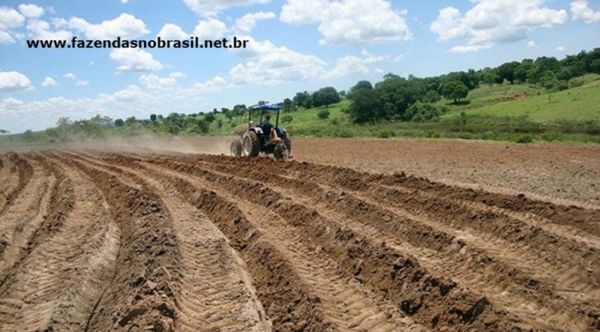 VENDO FAZENDA 298 HÁ.