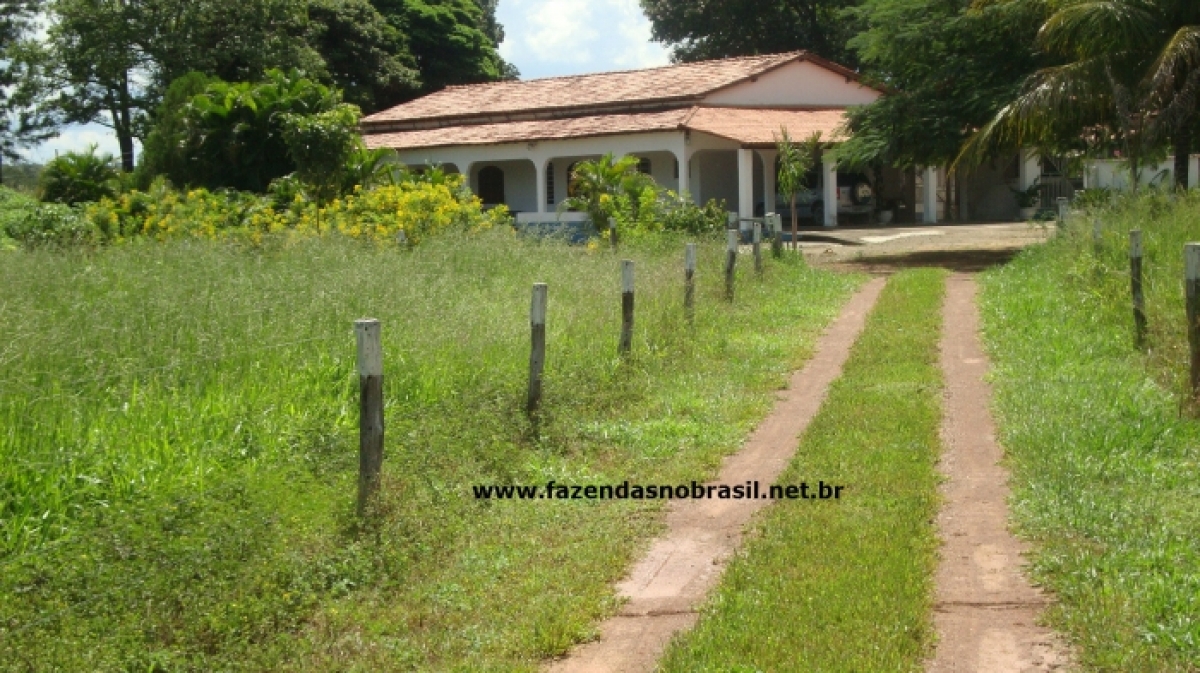 VENDO FAZENDA 298 HÁ.