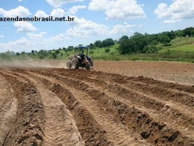 VENDO FAZENDA 298 HÁ.