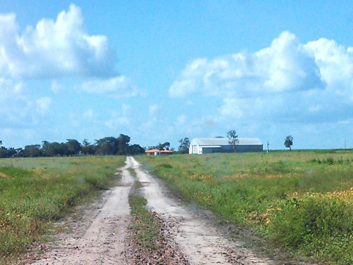 VENDO FAZENDA 1479 HÁ