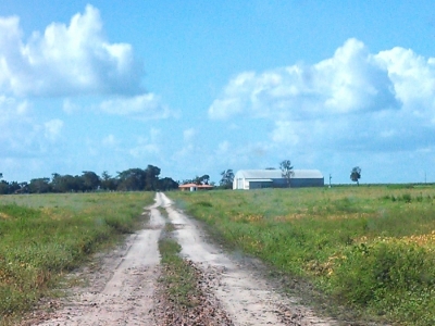 VENDO FAZENDA 1479 HÁ