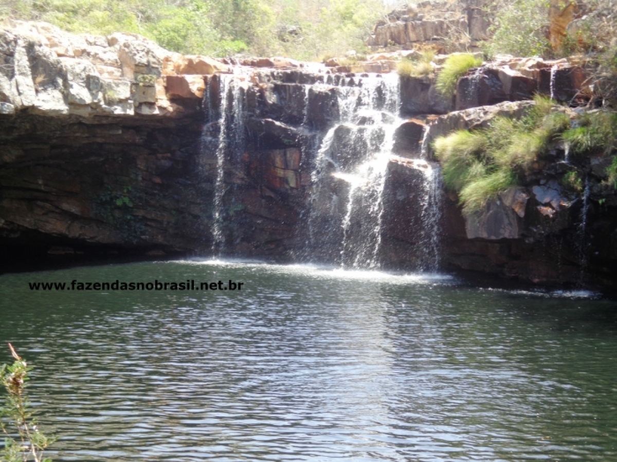 VENDO FAZENDA 1830 HÁ EM BOCAIÚVA  MINAS GERAIS