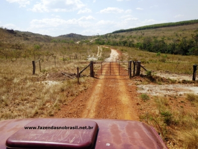 VENDO FAZENDA 1830 HÁ EM BOCAIÚVA  MINAS GERAIS