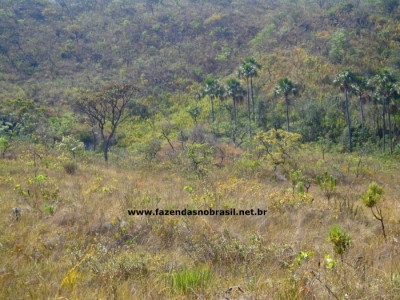 VENDO FAZENDA 1830 HÁ EM BOCAIÚVA  MINAS GERAIS