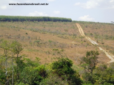 VENDO FAZENDA 1830 HÁ EM BOCAIÚVA  MINAS GERAIS