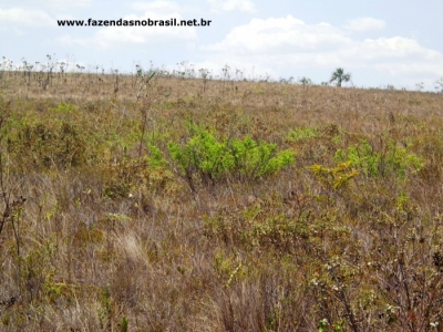 VENDO FAZENDA 1830 HÁ EM BOCAIÚVA  MINAS GERAIS