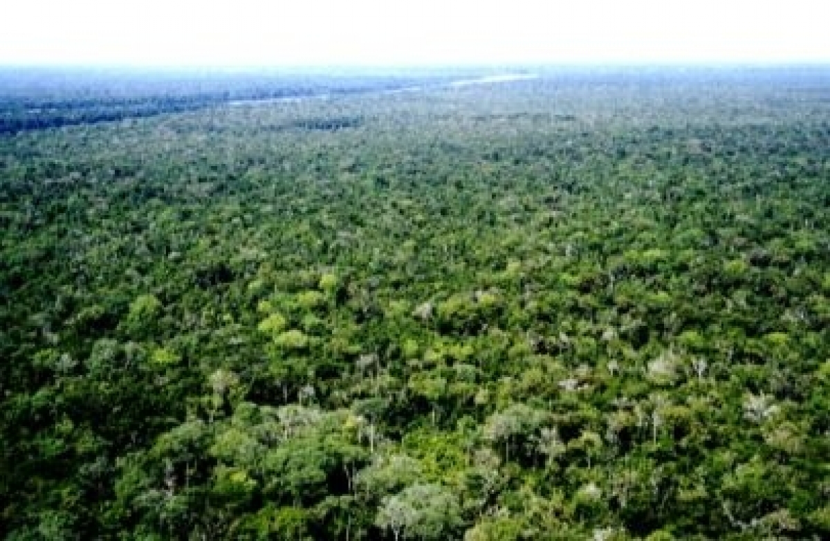 VENDO FAZENDAS NO TOTAL DE 403.000 HECTARES DIVIDIDOS CONFORME ABAIXO