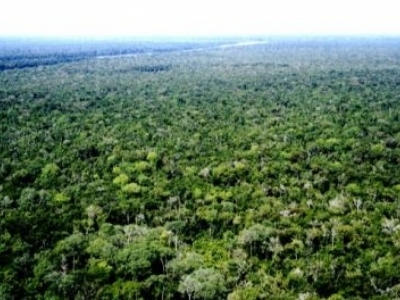 VENDO FAZENDAS NO TOTAL DE 403.000 HECTARES DIVIDIDOS CONFORME ABAIXO