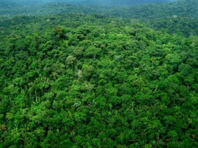 VENDO FAZENDAS NO TOTAL DE 403.000 HECTARES DIVIDIDOS CONFORME ABAIXO