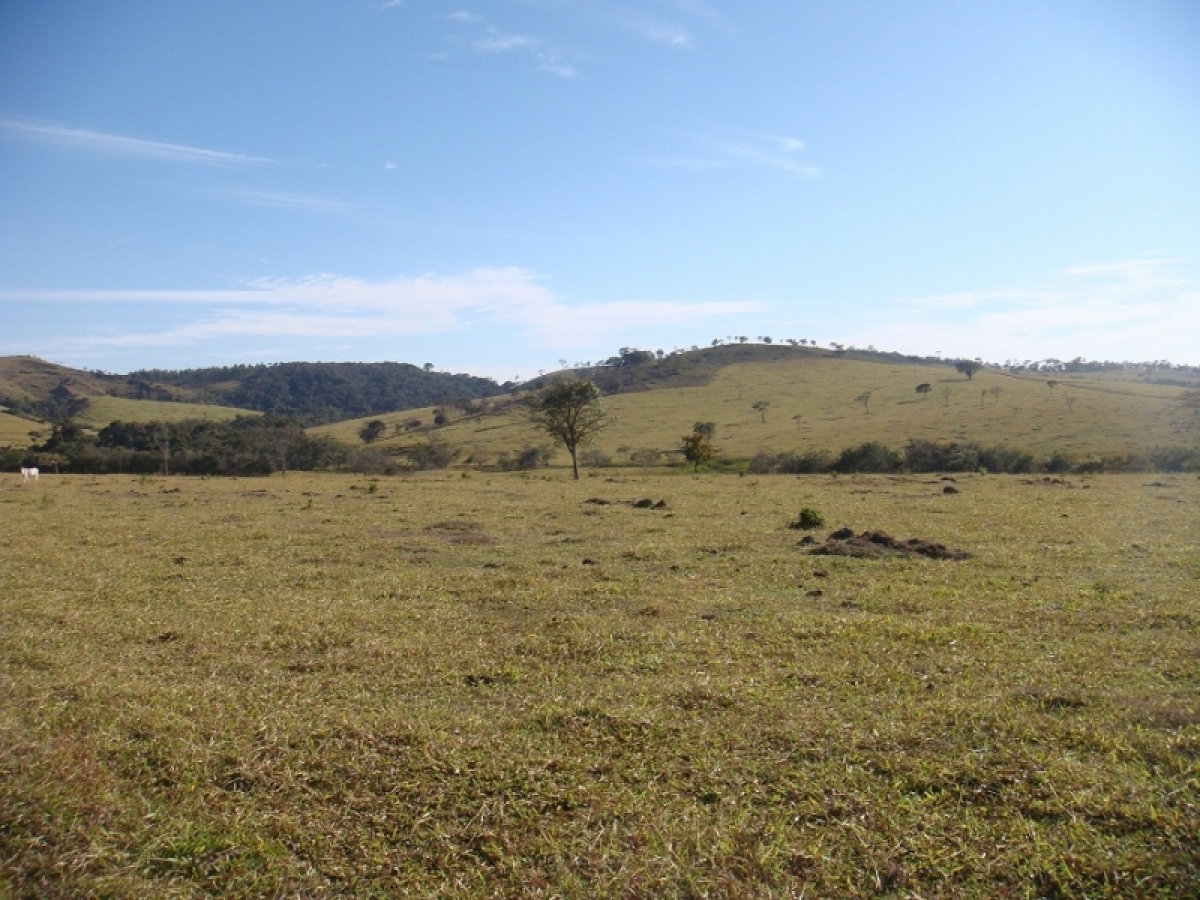 FAZENDA 371 alq, toda em pasto 