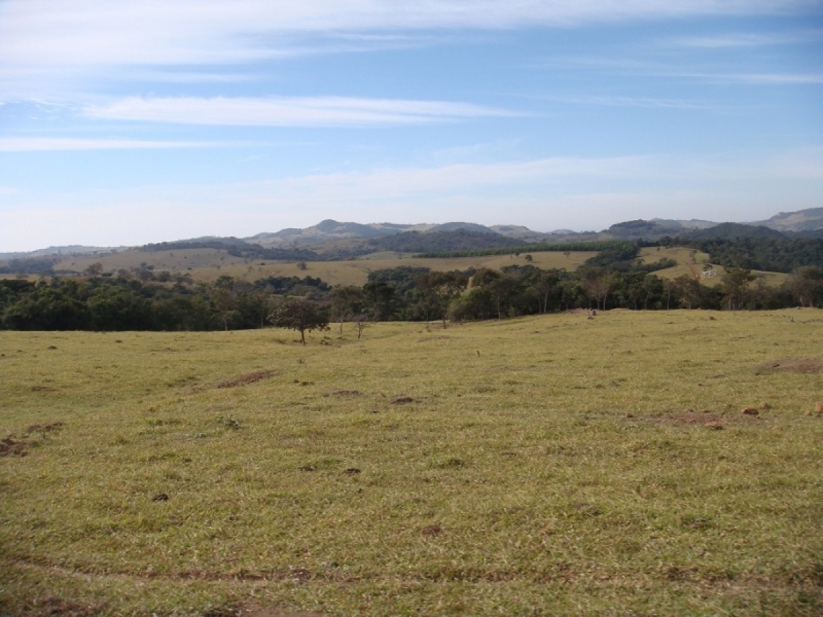 FAZENDA 371 alq, toda em pasto 